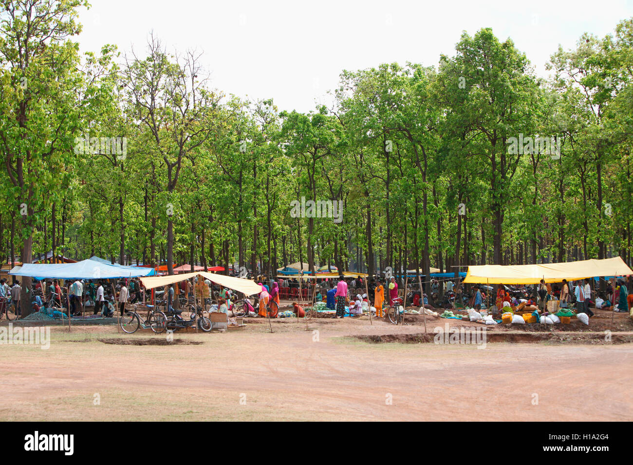 Mercato tribale, dhurwa tribù, pandripani village, chattisgadh, India Foto Stock