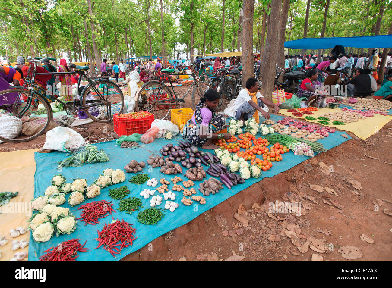 Fruttivendolo, Dhurwa mercato tribale, Pandripani Village, Chattisgarh, India Foto Stock