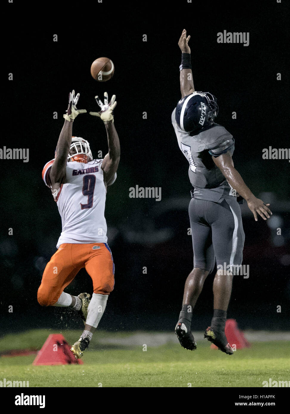 Palm Beach Gardens, Florida, Stati Uniti d'America. 23 Sep, 2016. Palm Beach Gardens Gators wide receiver Antoine Lane (9) le catture di un lungo passaggio oltre Dwyer pantere Mayo Yisrael (7) in Palm Beach Gardens, Florida il 23 settembre 2016. © Allen Eyestone/Palm Beach post/ZUMA filo/Alamy Live News Foto Stock