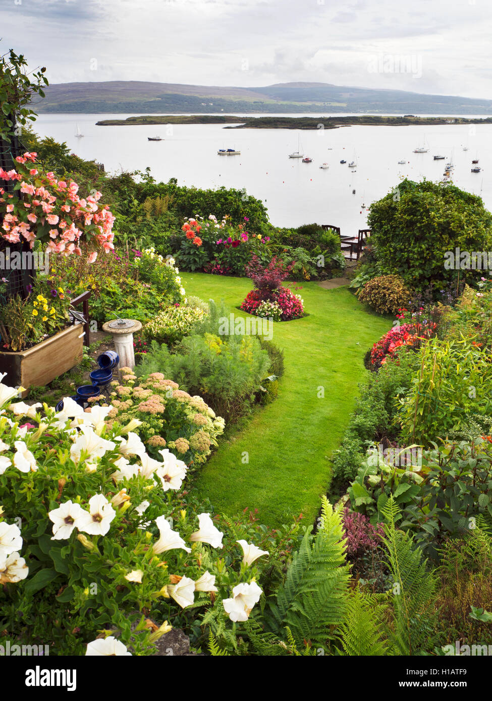 Giardino sul terrazzo di Argyll affacciato su barche nel suono di Mull Tobermory Mull Argyll and Bute Scozia Scotland Foto Stock