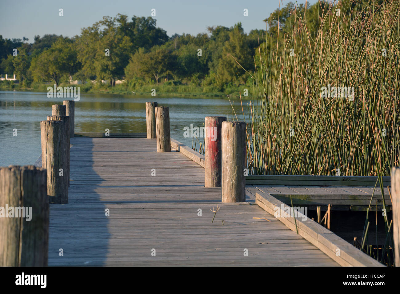 Il sole sorge su un molo di pesca sul lago White Rock in Dallas Texas. Foto Stock