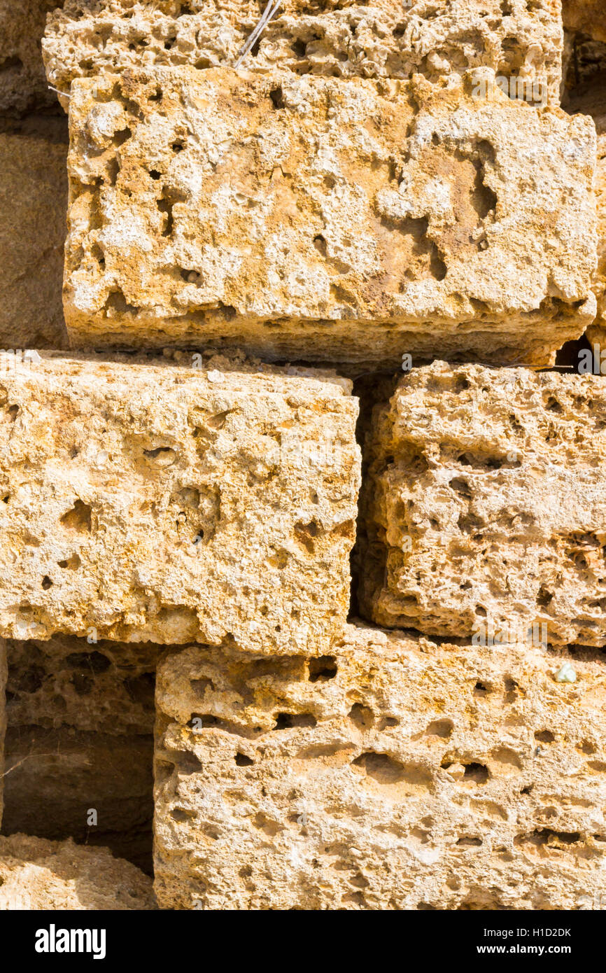 Materiale naturale per la costruzione di coquina Foto Stock