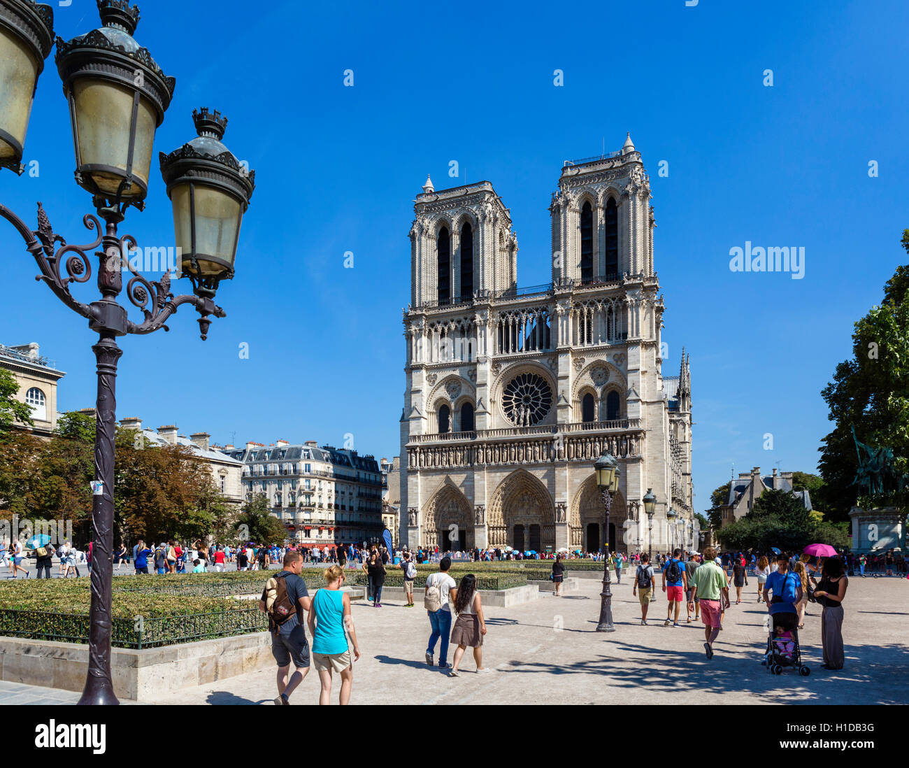 La cattedrale di Notre Dame di Parigi. Fronte ovest della cattedrale di Notre Dame (Notre Dame de Paris), Île de la Cité, Parigi, Francia Foto Stock