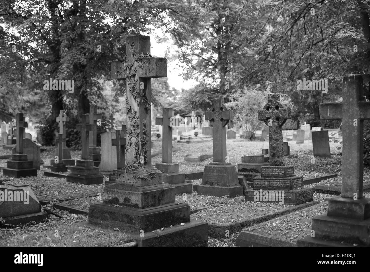 Il cimitero di Brompton Foto Stock
