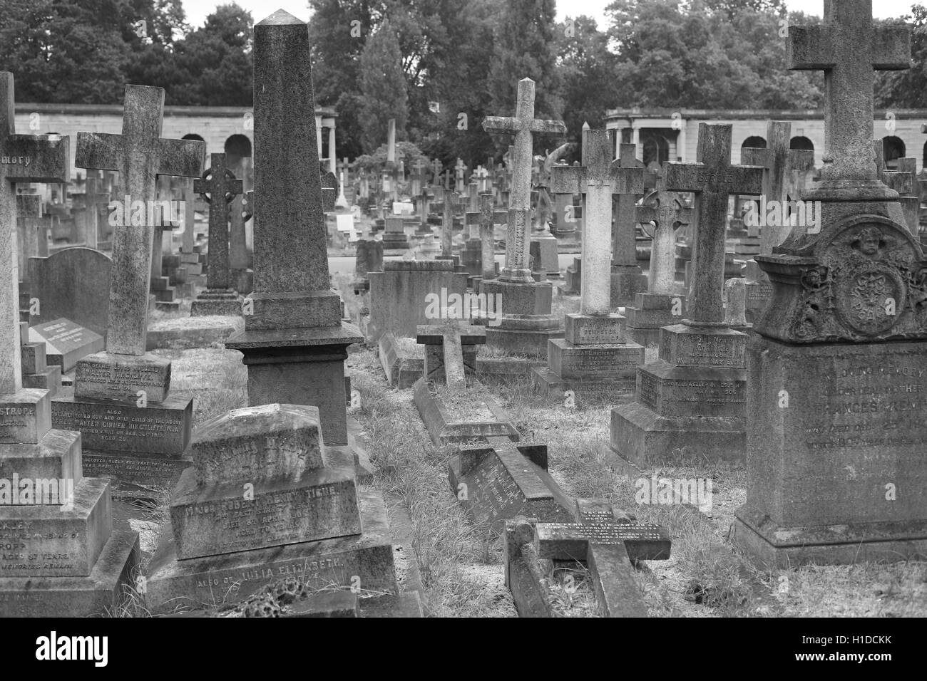 Il cimitero di Brompton Foto Stock