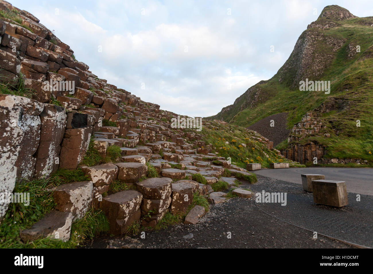 Giant's Causeway, Bushmills, County Antrim, Irlanda del Nord, Regno Unito Foto Stock