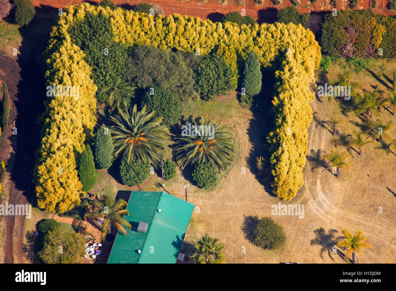 Fotografia aerea di un giardino di una casa residenziale in Magalisburg, Gauteng, Sud Africa Foto Stock