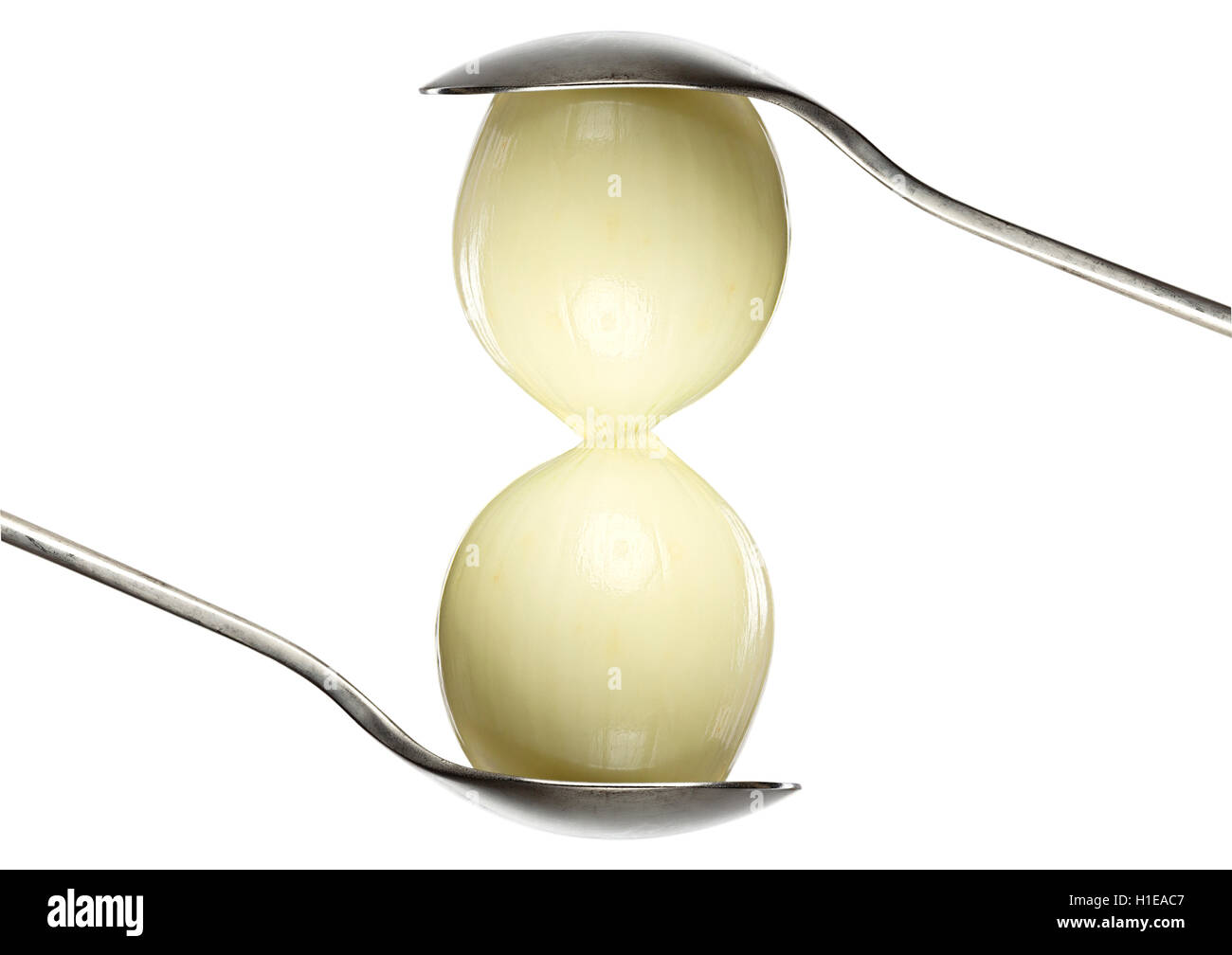 Due cipolle tra due cucchiai, isolato su bianco Foto Stock