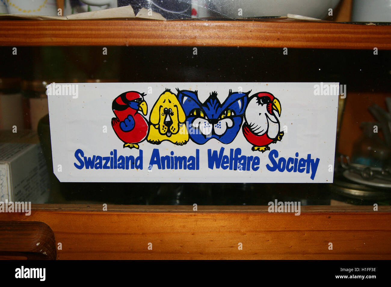 Swaziland Animal Welfare Society, seghe, Regno di Swaziland Foto Stock