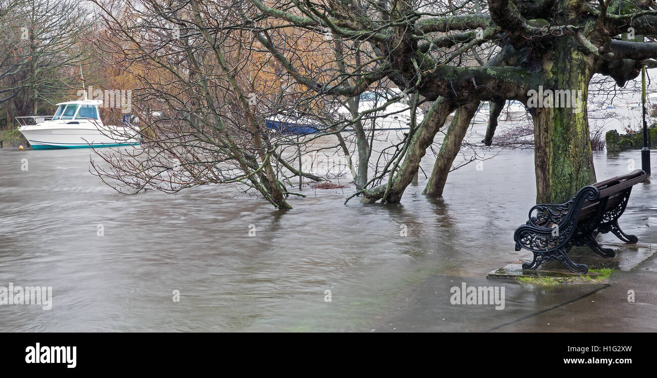 Fiume Stour flood Regno Unito 2014 Foto Stock