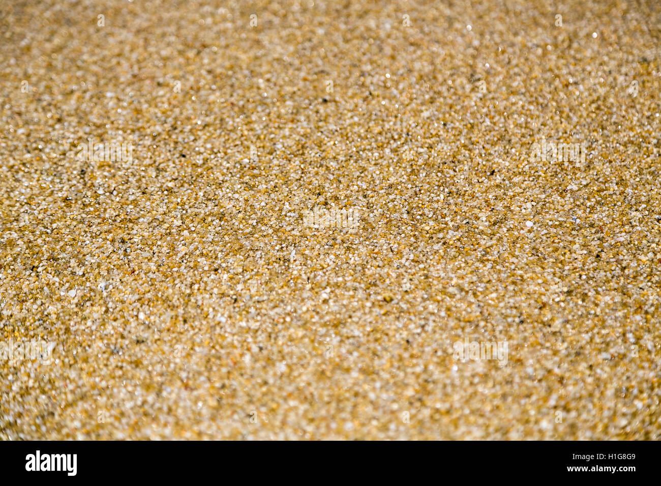 Vicino oceano di sabbia per lo sfondo e la composizione Foto Stock