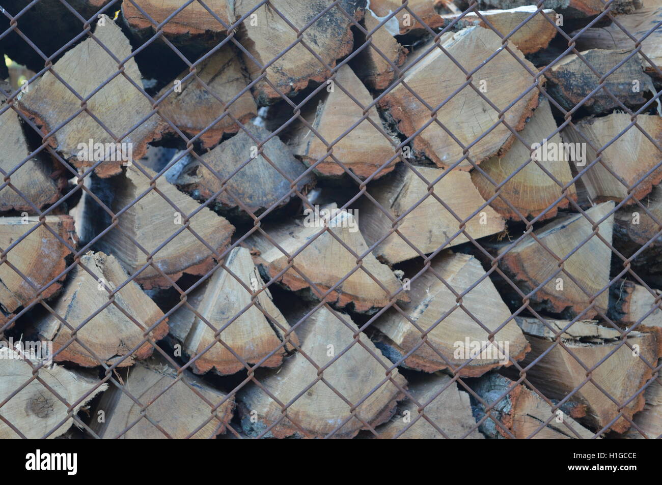 Rovere impilati di legna da ardere di Pasadena, Anne Arundel County, Maryland. Foto Stock