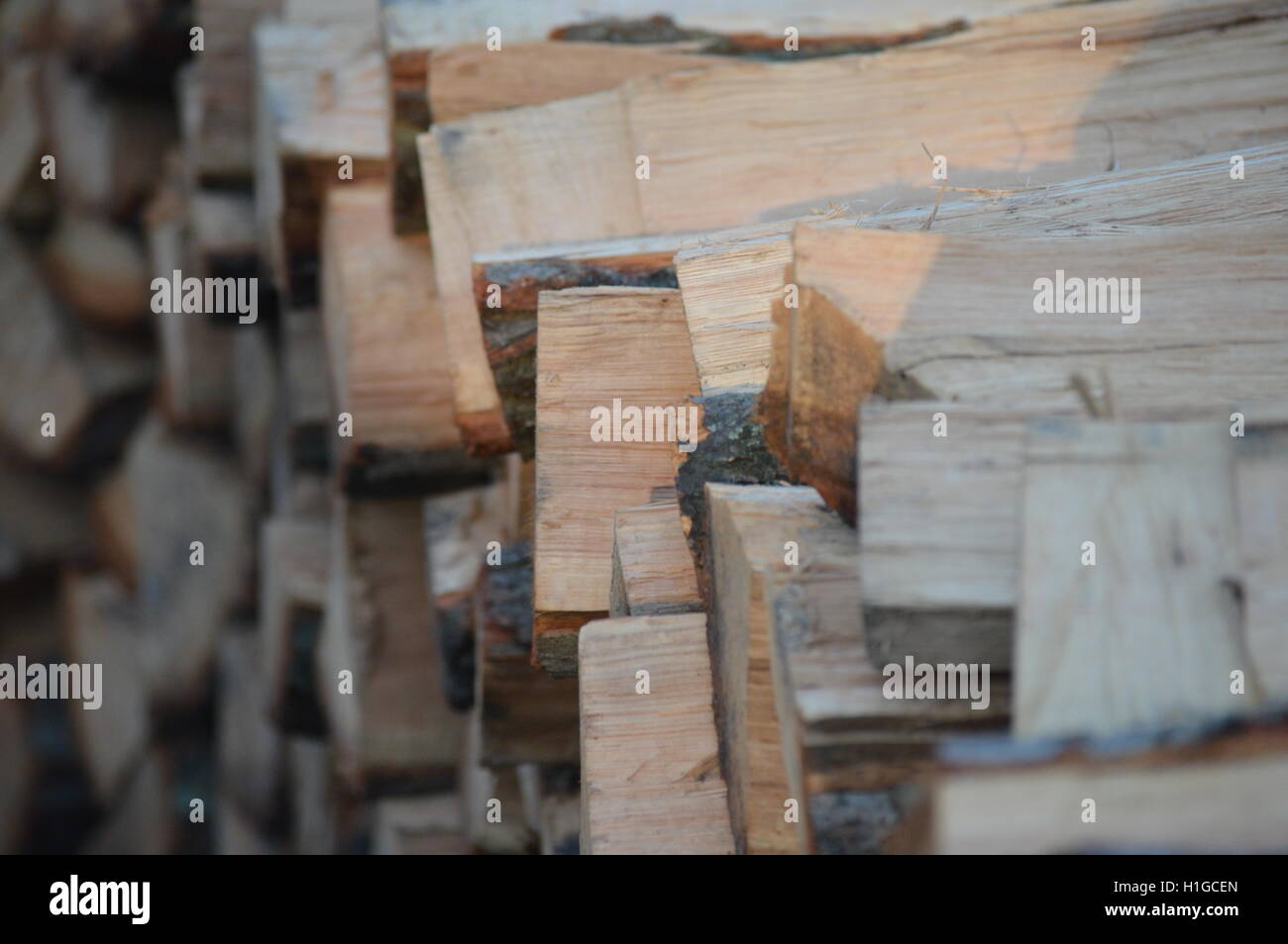 Rovere impilati di legna da ardere di Pasadena, Anne Arundel County, Maryland. Foto Stock