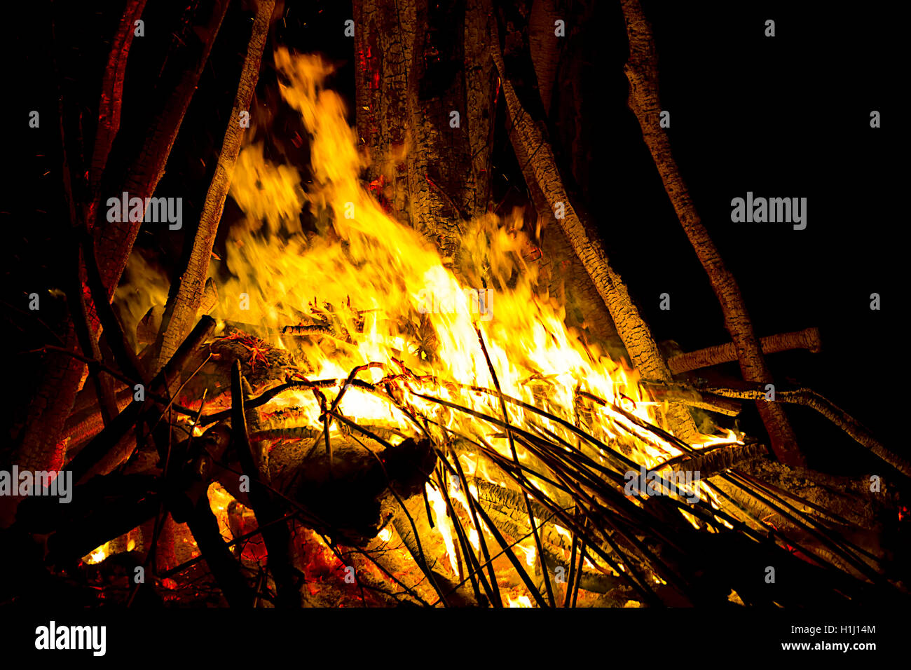 Campfire nella notte Foto Stock