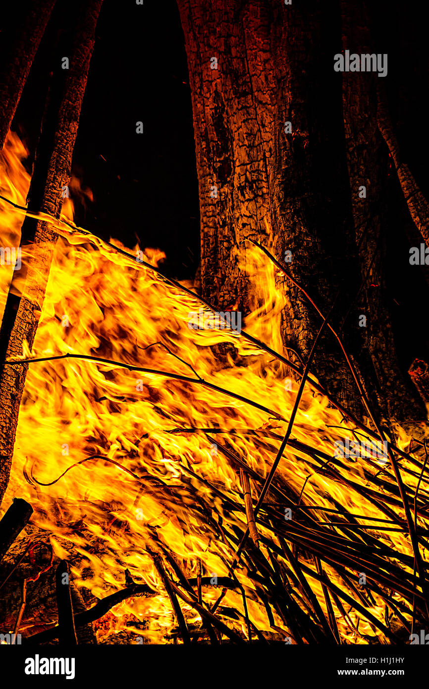 Campfire nella notte Foto Stock
