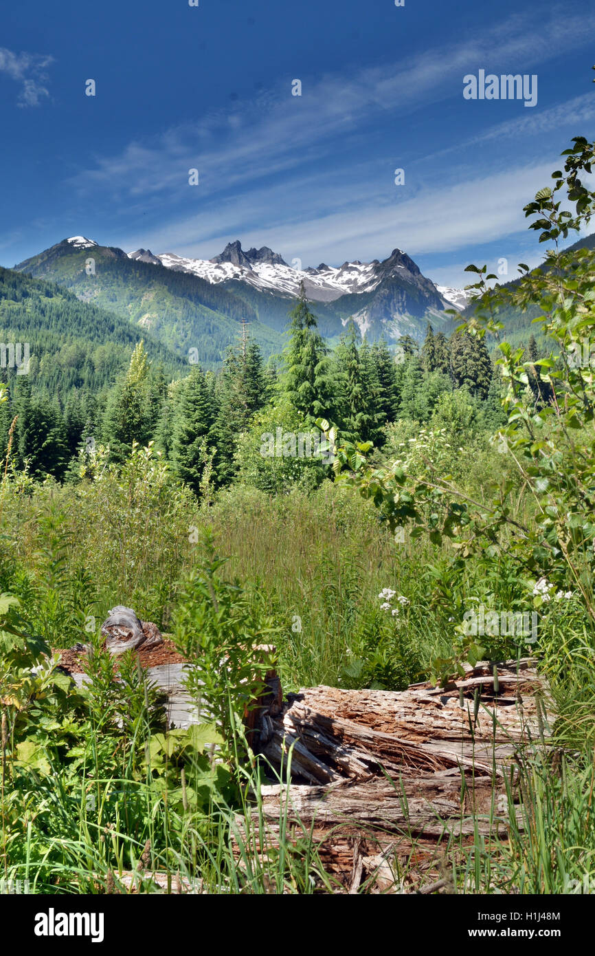 Vasto e immenso scenario della natura in una bella giornata di escursioni sentiero attraverso la Brandywine Prato, Whistler, BC, Canada Foto Stock