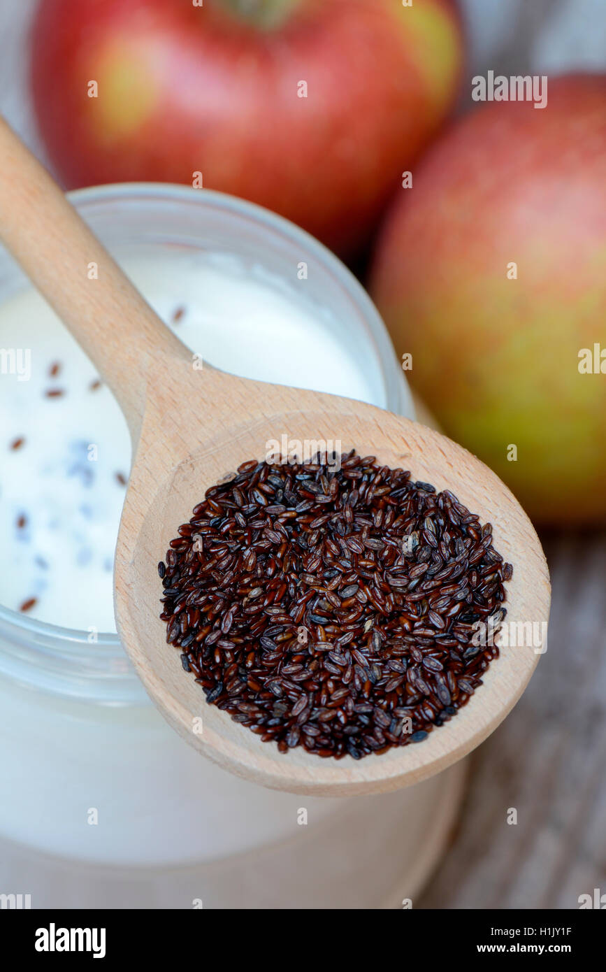 In Flohsamen-Wegerich Kochloeffel auf Joghurtglas und Aepfel, planzago psillio Foto Stock