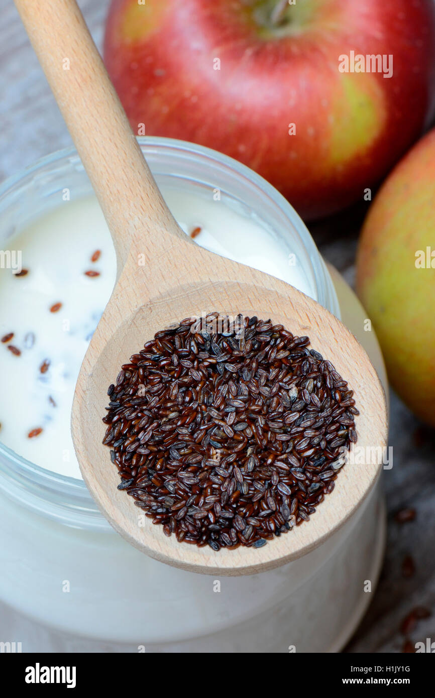 In Flohsamen-Wegerich Kochloeffel auf Joghurtglas und Aepfel, planzago psillio Foto Stock