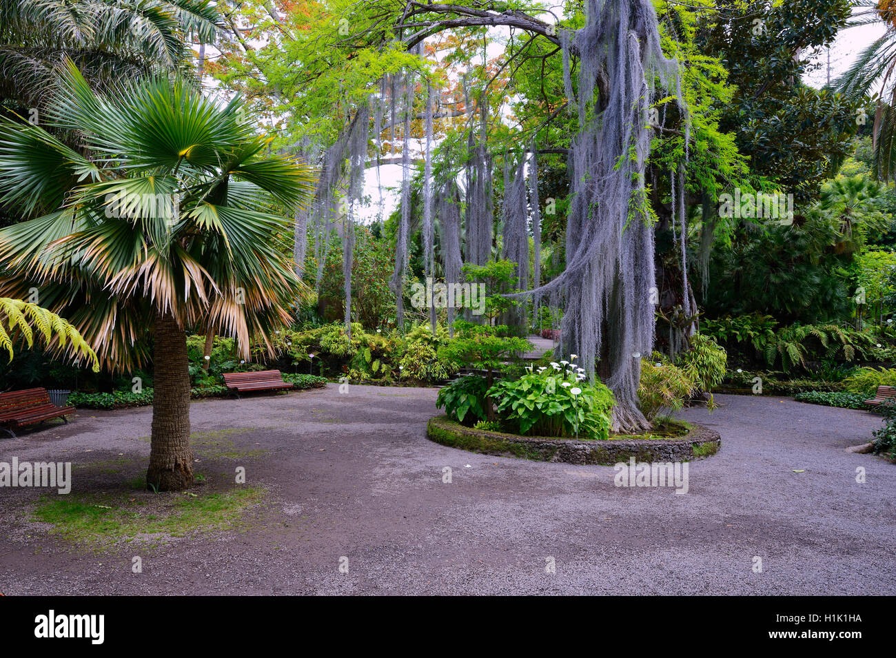 Botanischer Garten Teneriffa, Kanarische isole, Spanien Foto Stock