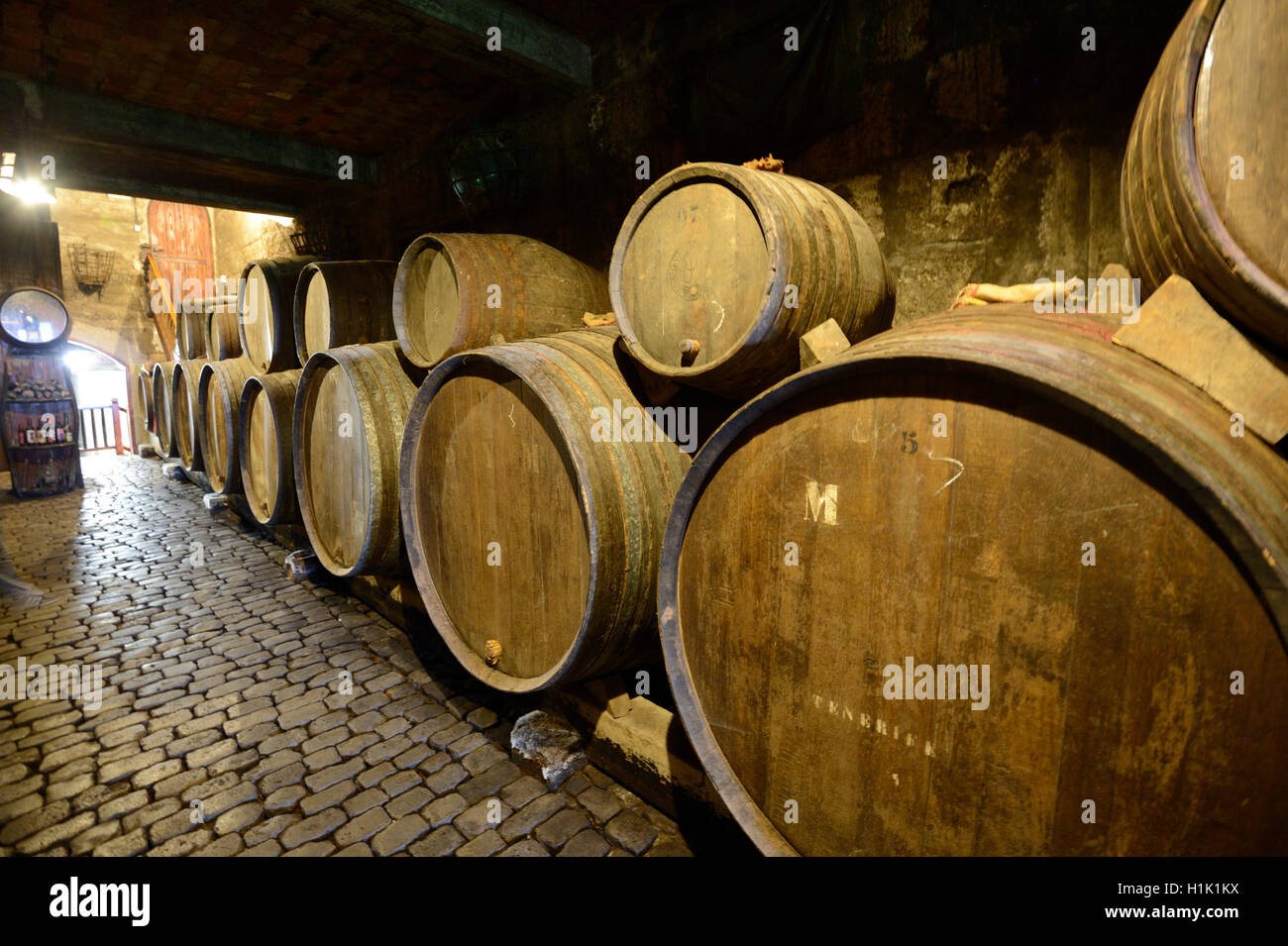 100 jahre alte Weinfaesser im Keller von Weingut, Teneriffa, Kanarische isole, Spanien Foto Stock