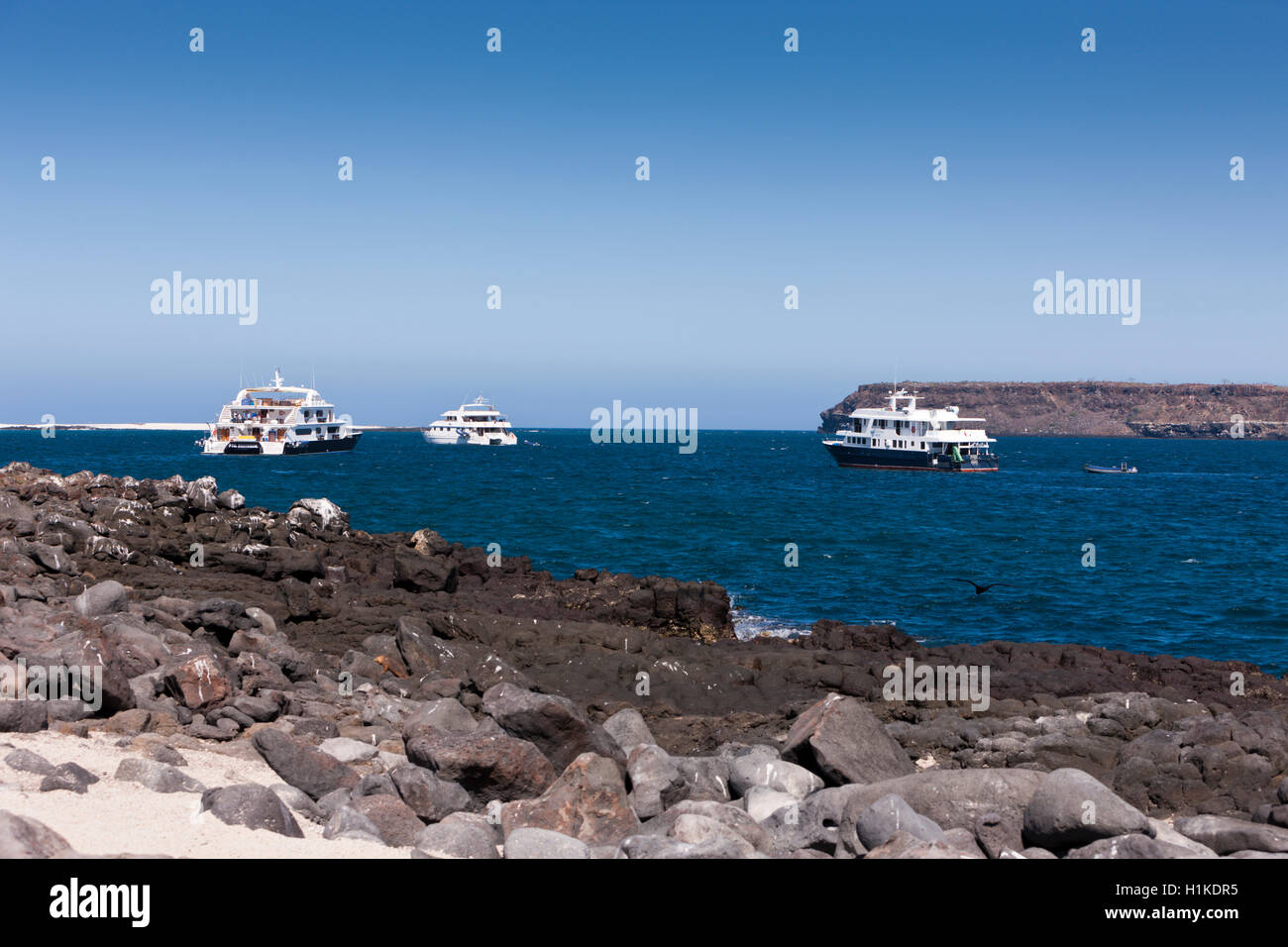 Diving Liveaboards, North Seymour, Galapagos, Ecuador Foto Stock