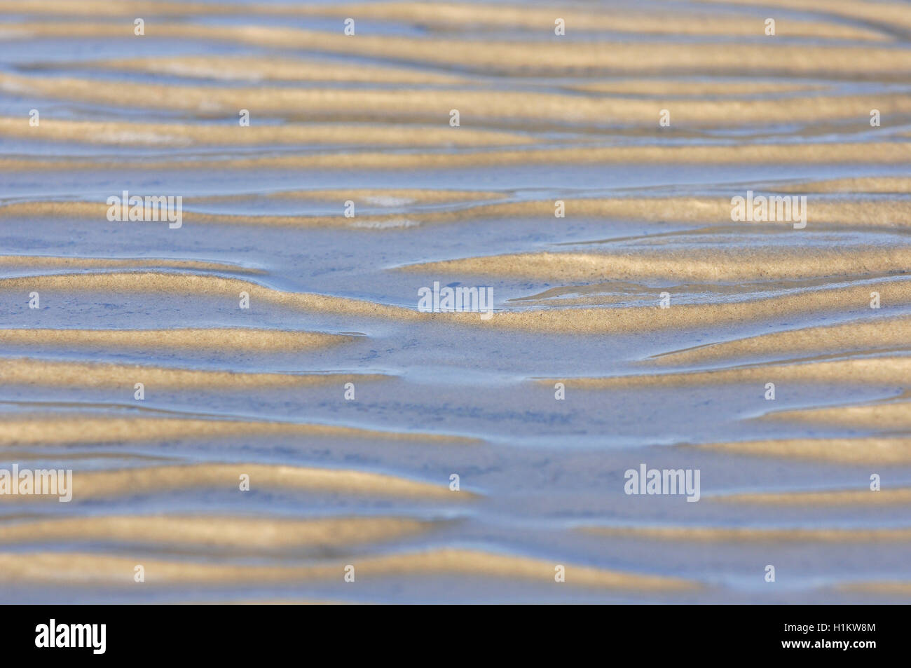 Spiaggia di sabbia con la bassa marea, increspato configurazione ondulata, Mare del Nord, Norddeich, Bassa Sassonia, Germania Foto Stock