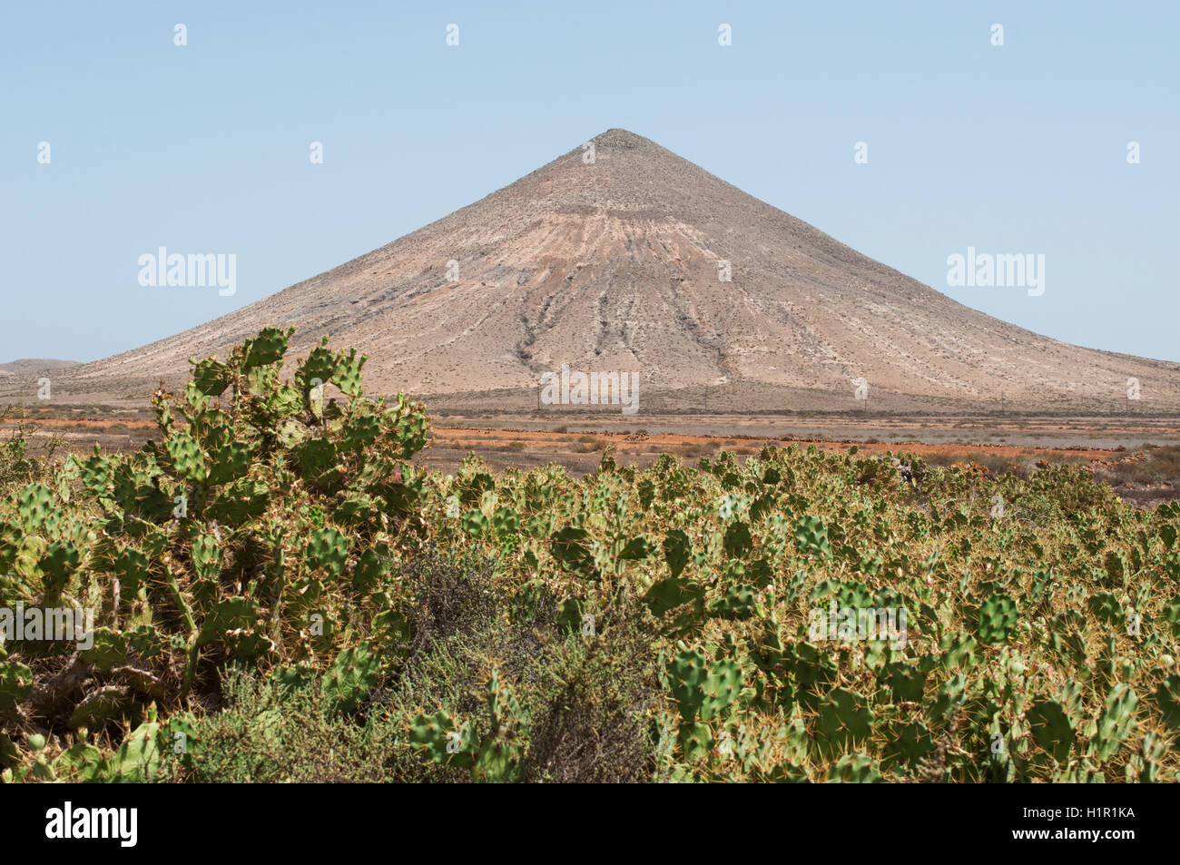 Fuerteventura: una distesa di cactus e il Volcán de la Arena, a forma di cono vulcano a Malpas de la Arena area naturale Foto Stock