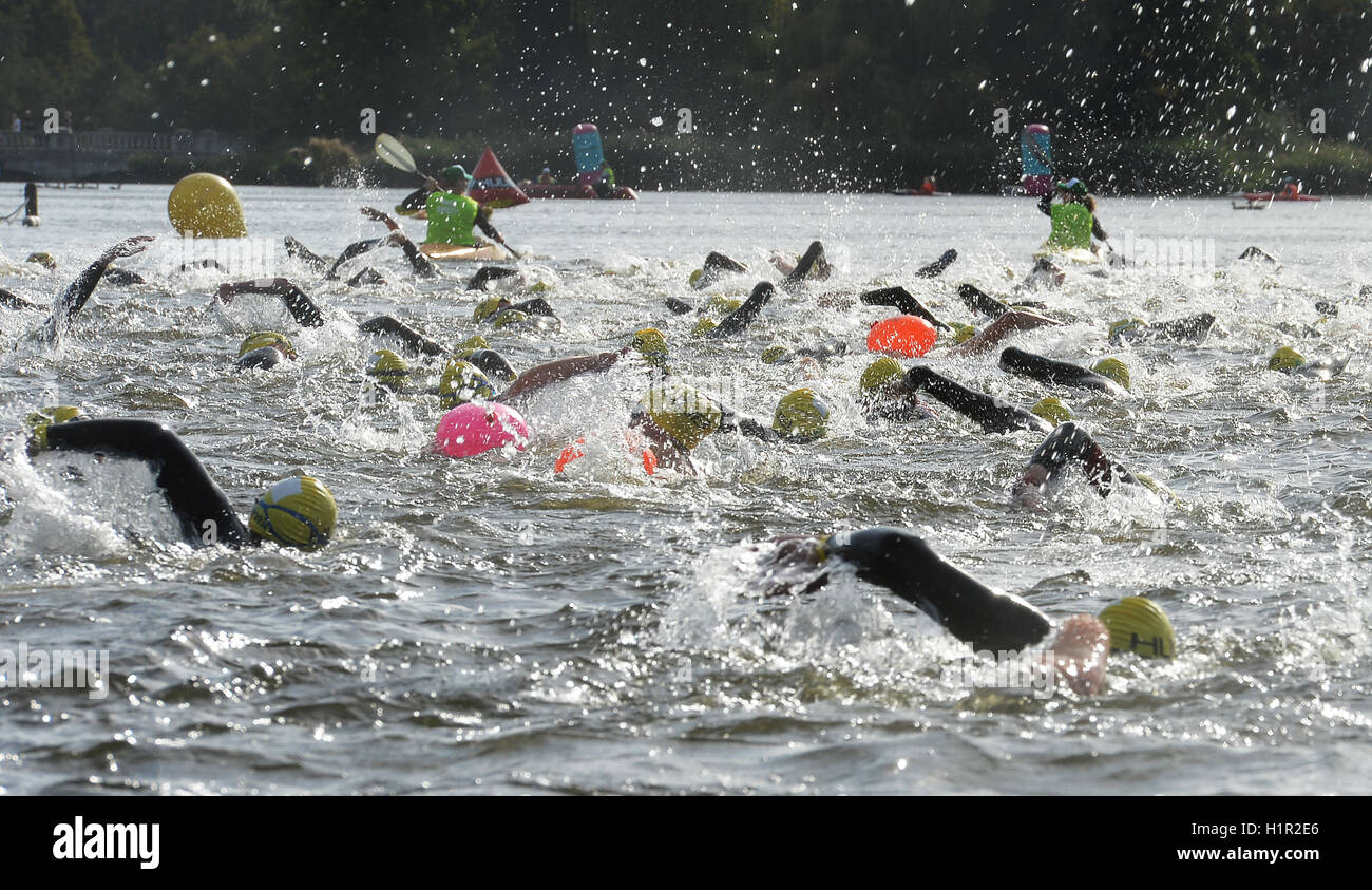 Una piccola parte della prima ondata di 350 nuotatori, che stanno prendendo parte al nuotare serpentina 2016, che vedrà una stima di 6 mila persone nuotare un miglio in Hyde Park Lake nel centro di Londra. Foto Stock