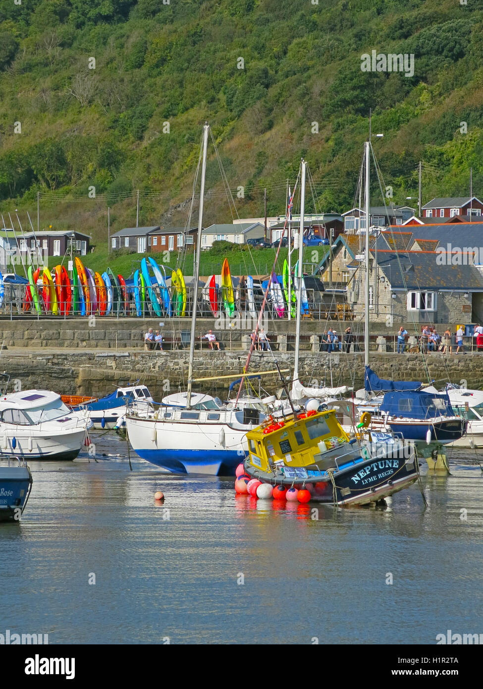 Colori del mare kayak memorizzati sul molo di Lyme Regis, Dorset, England, Regno Unito Foto Stock