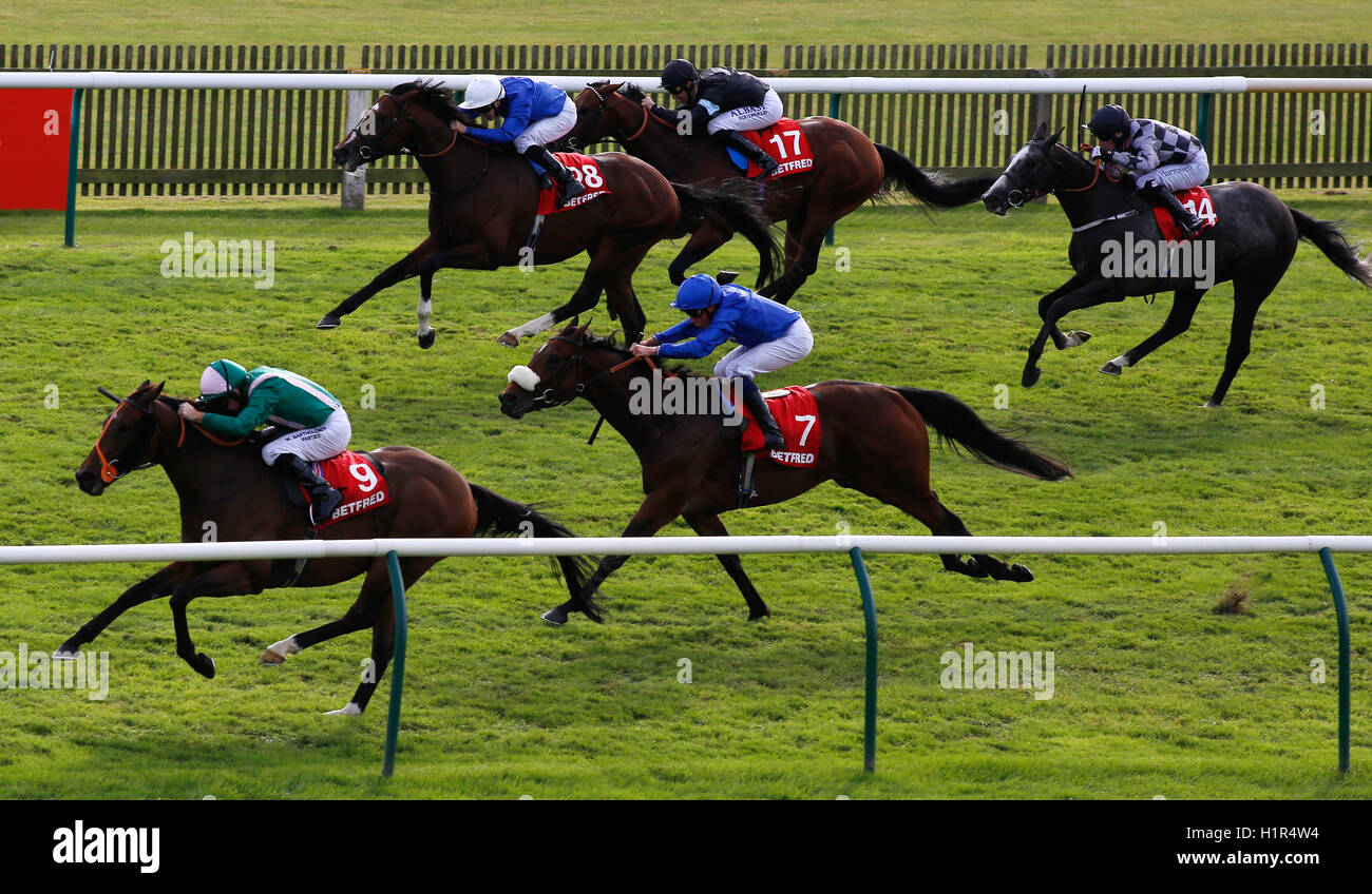 Candela cavalcato da Jimmy Fortune (in basso a sinistra) conduce il campo home per vincere il Betfred Cambridshire gara corsa durante il giorno tre del Cambridgeshire incontro a Newmarket Racecourse. Stampa foto di associazione. Picture Data: Sabato 24 Settembre, 2016. Vedere la storia di PA RACING Newmarket. Foto di credito dovrebbe leggere: Julian Herbert/PA FILO Foto Stock