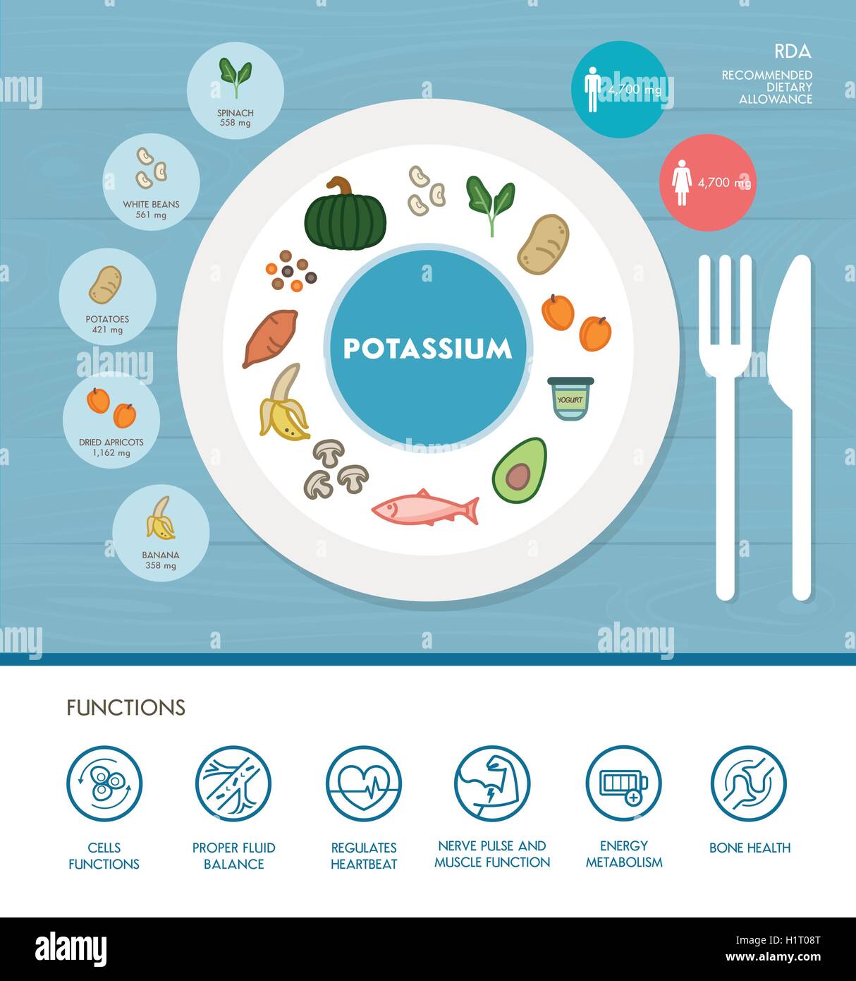 Il potassio nutrizione minerale ed infografico con medici e cibo icone: dieta, il cibo sano e il concetto di benessere Illustrazione Vettoriale