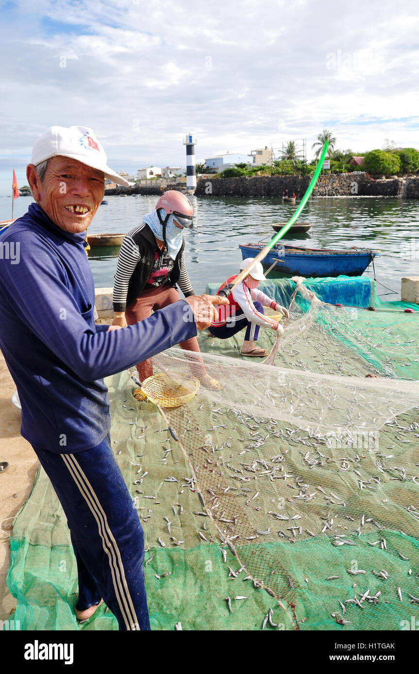 Quang Ngai, Vietnam - Luglio 31, 2012: un vecchio pescatore è la rimozione di acciughe pesce dalla sua rete da pesca per iniziare una nuova giornata di lavoro Foto Stock