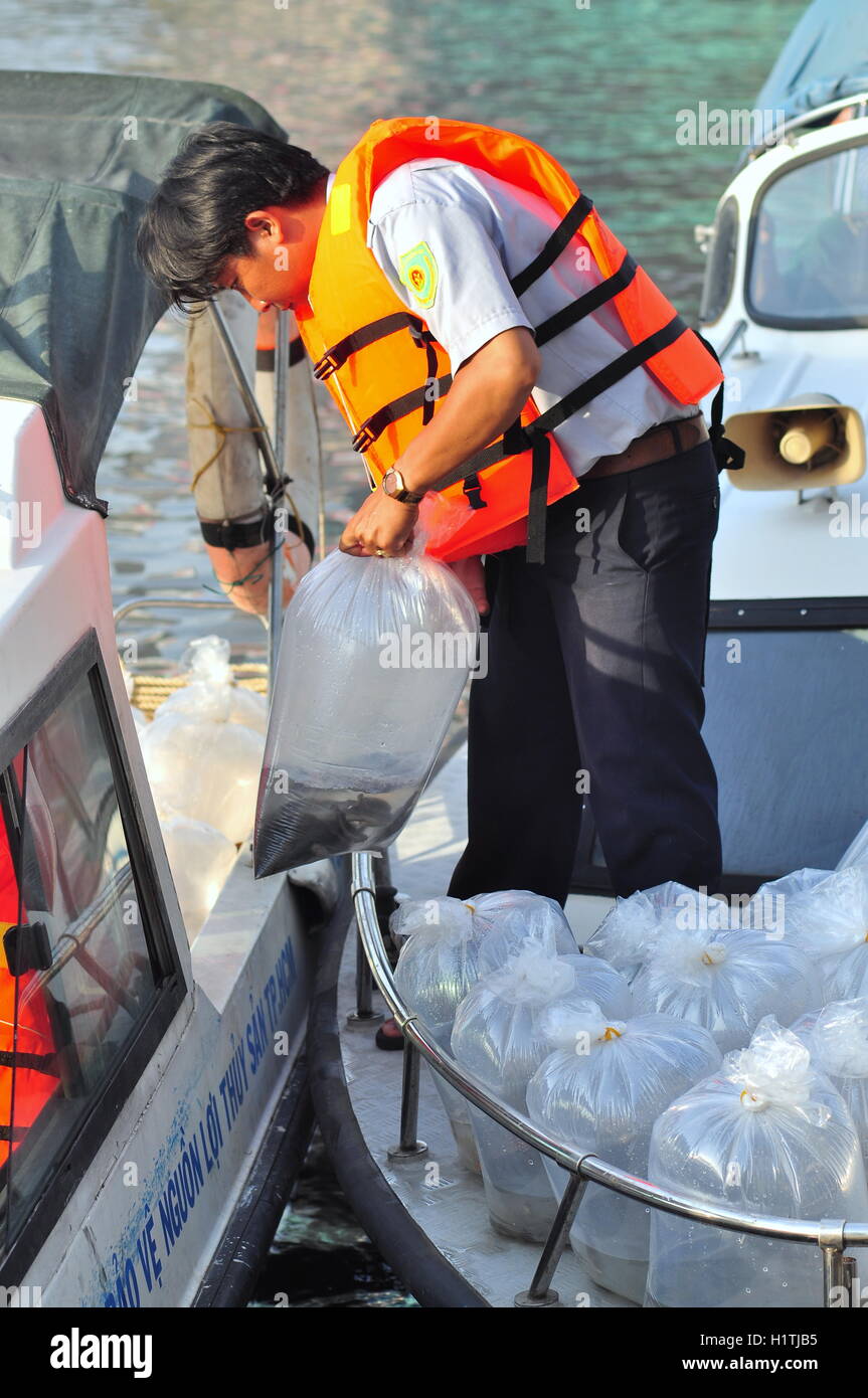 La città di Ho Chi Minh, Vietnam - Aprile 24, 2015: pesci sono conservati in sacchetti di plastica preparando per essere rilasciato nel fiume Saigon in Foto Stock