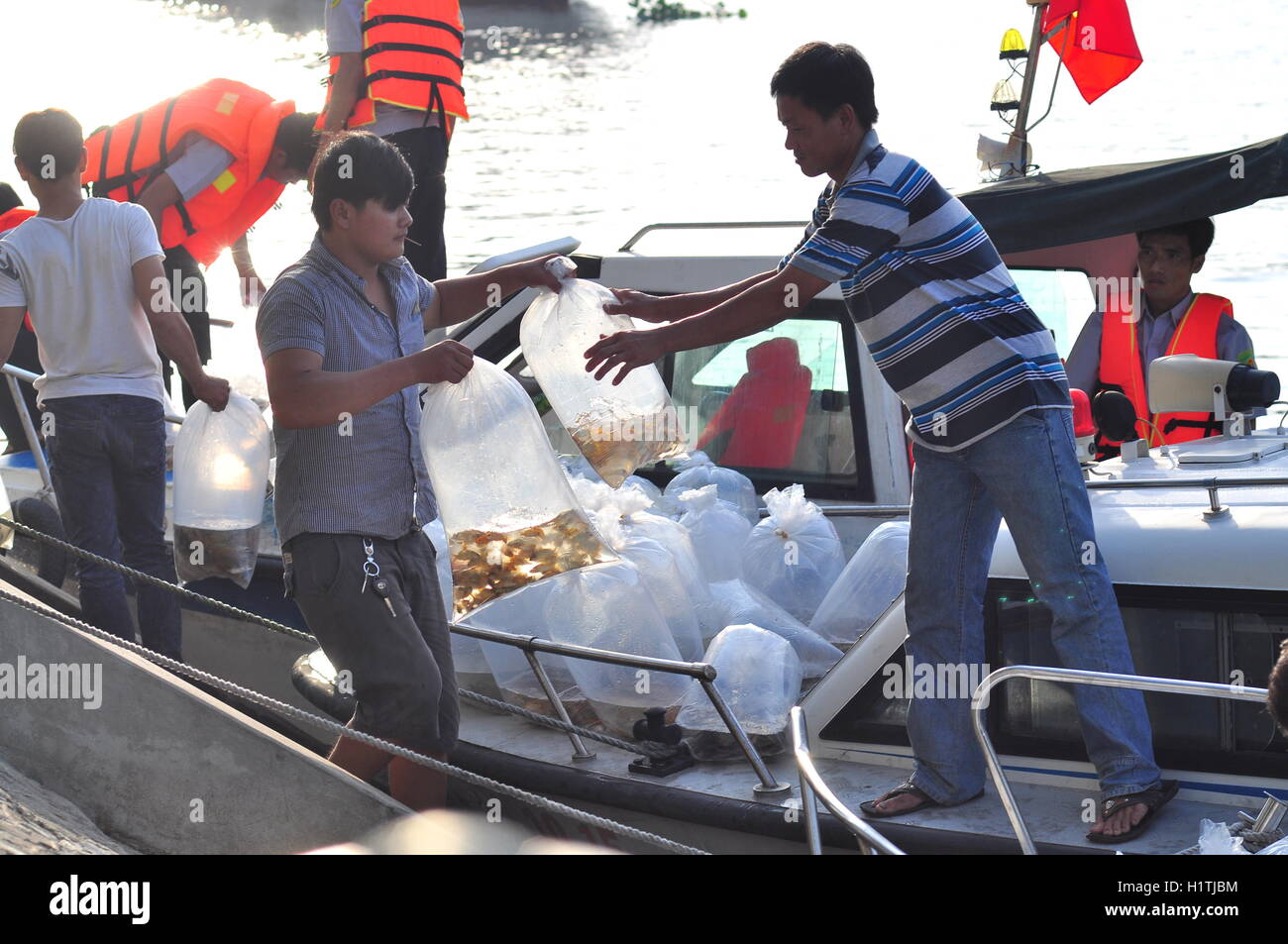La città di Ho Chi Minh, Vietnam - Aprile 24, 2015: pesci sono conservati in sacchetti di plastica preparando per essere rilasciato nel fiume Saigon in Foto Stock