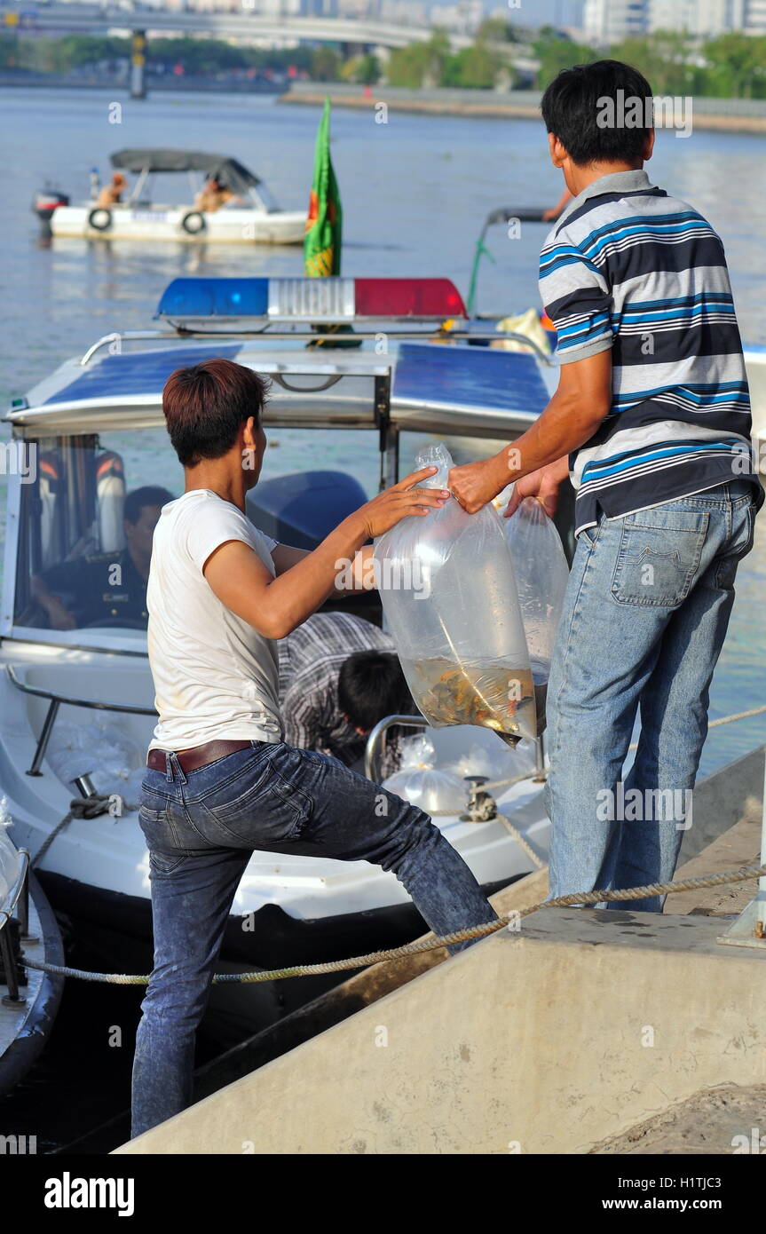 La città di Ho Chi Minh, Vietnam - Aprile 24, 2015: pesci sono conservati in sacchetti di plastica preparando per essere rilasciato nel fiume Saigon in Foto Stock