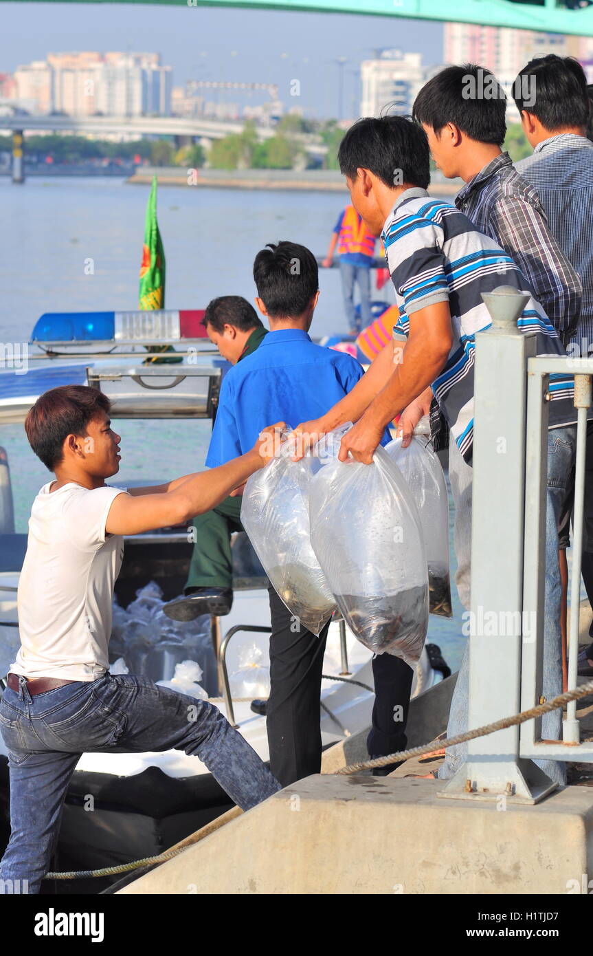 La città di Ho Chi Minh, Vietnam - Aprile 24, 2015: pesci sono conservati in sacchetti di plastica preparando per essere rilasciato nel fiume Saigon in Foto Stock