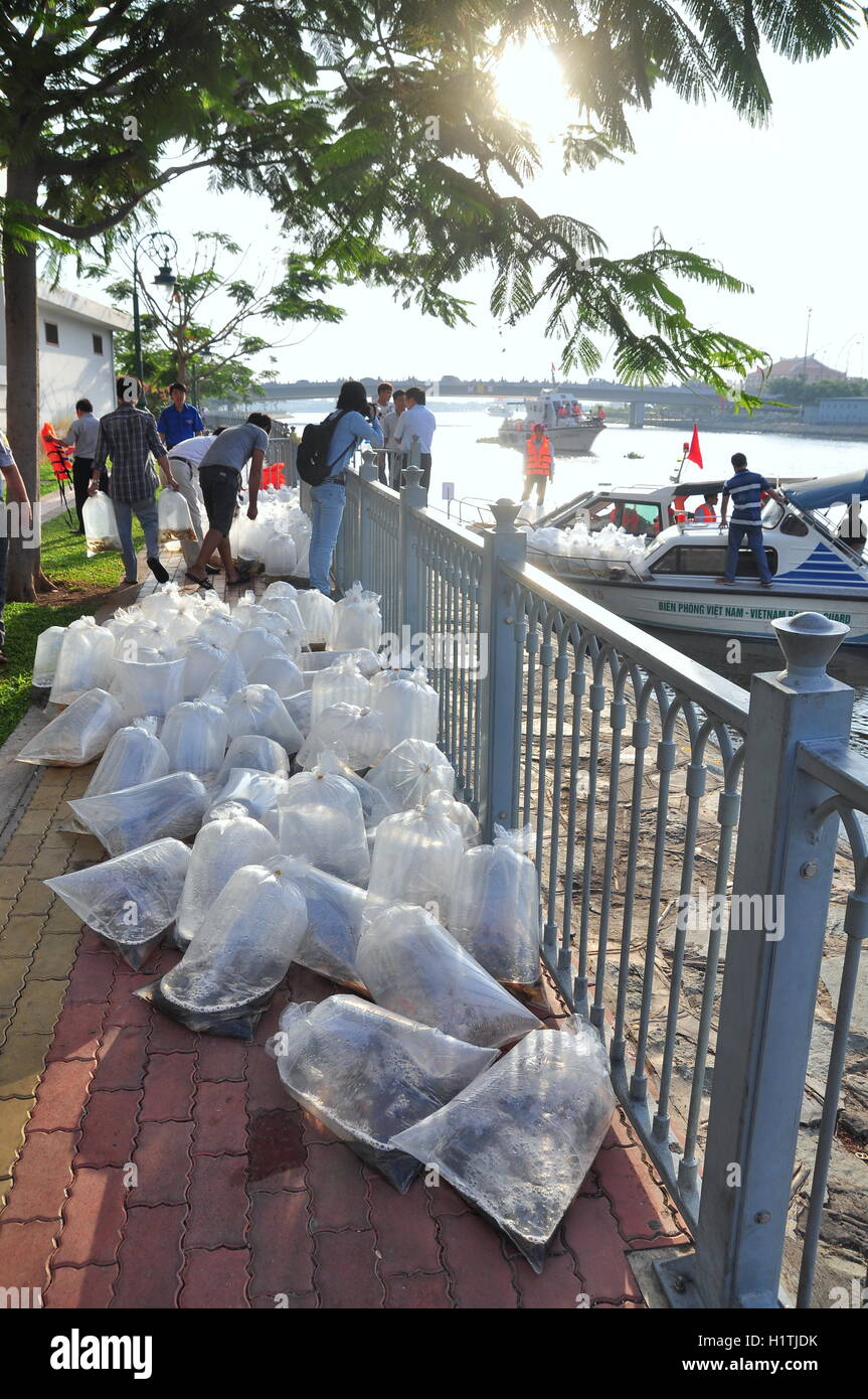 La città di Ho Chi Minh, Vietnam - Aprile 24, 2015: pesci sono conservati in sacchetti di plastica preparando per essere rilasciato nel fiume Saigon in Foto Stock