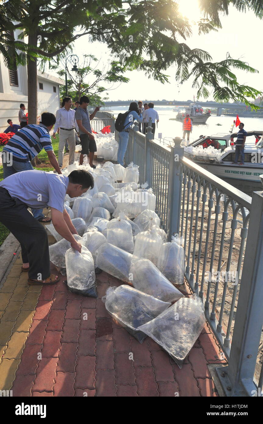 La città di Ho Chi Minh, Vietnam - Aprile 24, 2015: pesci sono conservati in sacchetti di plastica preparando per essere rilasciato nel fiume Saigon in Foto Stock