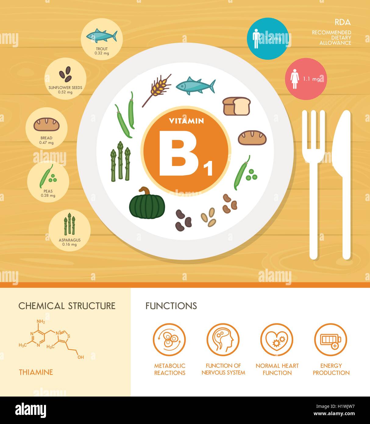 La vitamina B1 nutrizione ed infografico con sanitario e alimentare icone: dieta, il cibo sano e il concetto di benessere Illustrazione Vettoriale