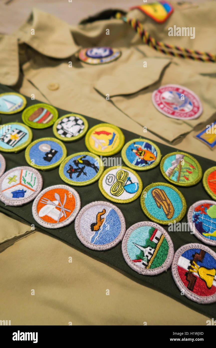 Badge di merito anta, Boy Scouts of America, STATI UNITI D'AMERICA Foto Stock