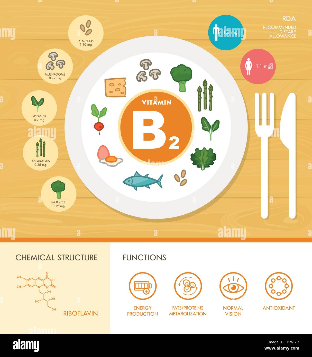 La vitamina B2 nutrizione ed infografico con sanitario e alimentare icone: dieta, il cibo sano e il concetto di benessere Illustrazione Vettoriale
