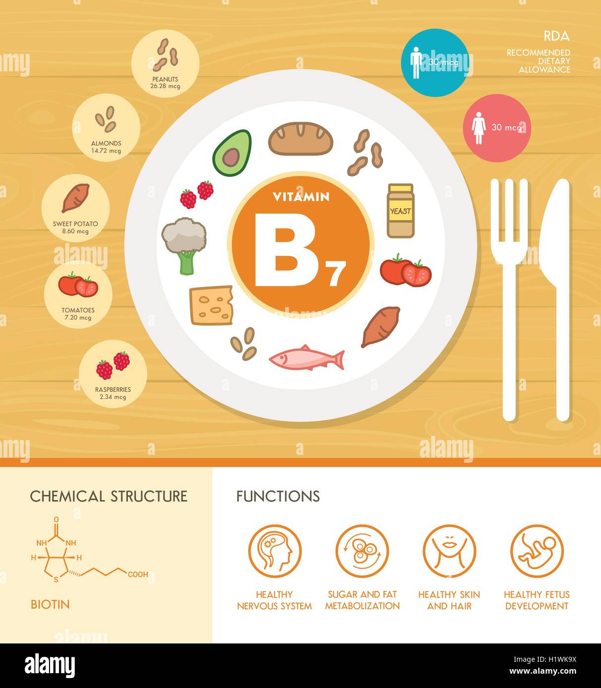 La vitamina B7 nutrizione ed infografico con medici e cibo icone: dieta, il cibo sano e il concetto di benessere Illustrazione Vettoriale