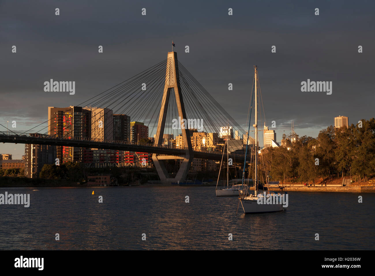 Nel tardo pomeriggio la luce sul ponte di Anzac Pyrmont Sydney New South Wales AUSTRALIA Foto Stock