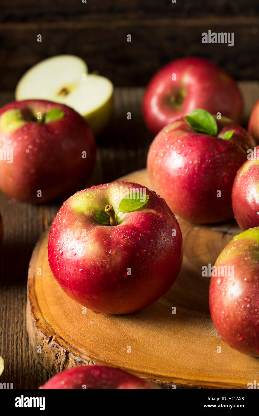 Materie organiche Mcintosh rosse mele pronto per mangiare Foto Stock