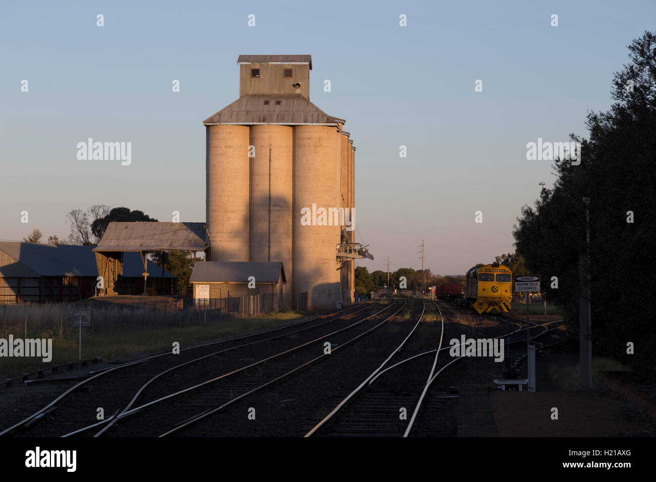 Silos per il grano e la ferrovia a Narromine Nuovo Galles del Sud Australia Foto Stock