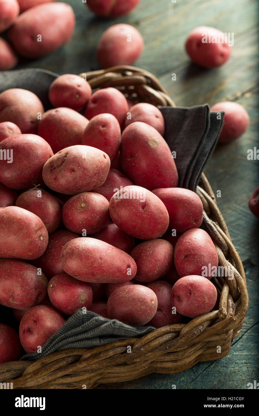 Materie organiche patate rosse pronti per la cottura Foto Stock