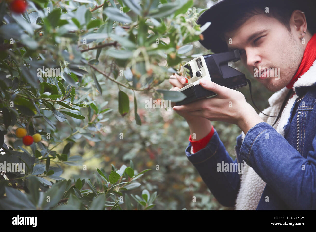 L'uomo prendendo la fotografia istantanea di berry bush Foto Stock