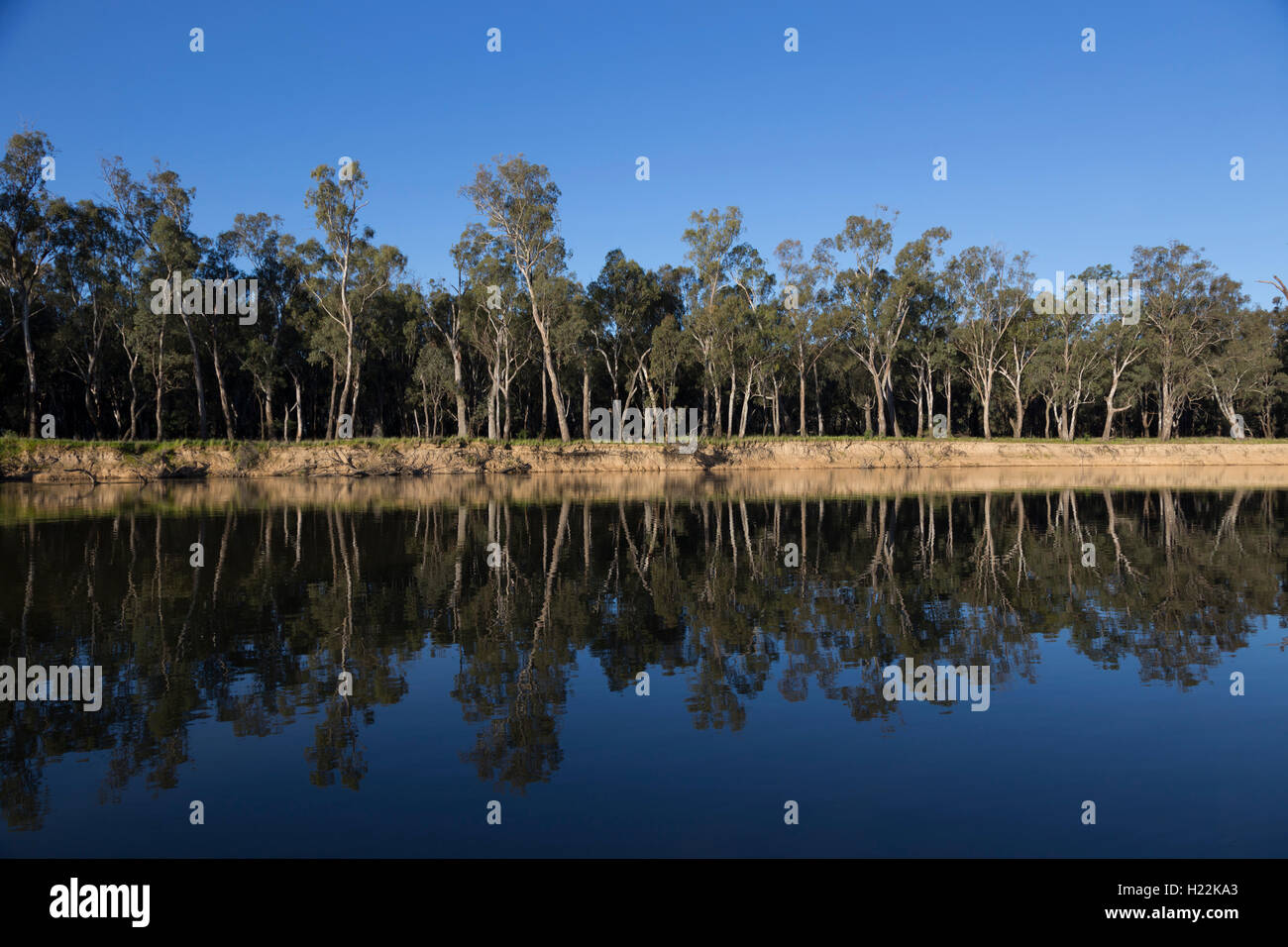 Riflessioni sul fiume Murray a piegare Bourkes Victoria Australia Foto Stock