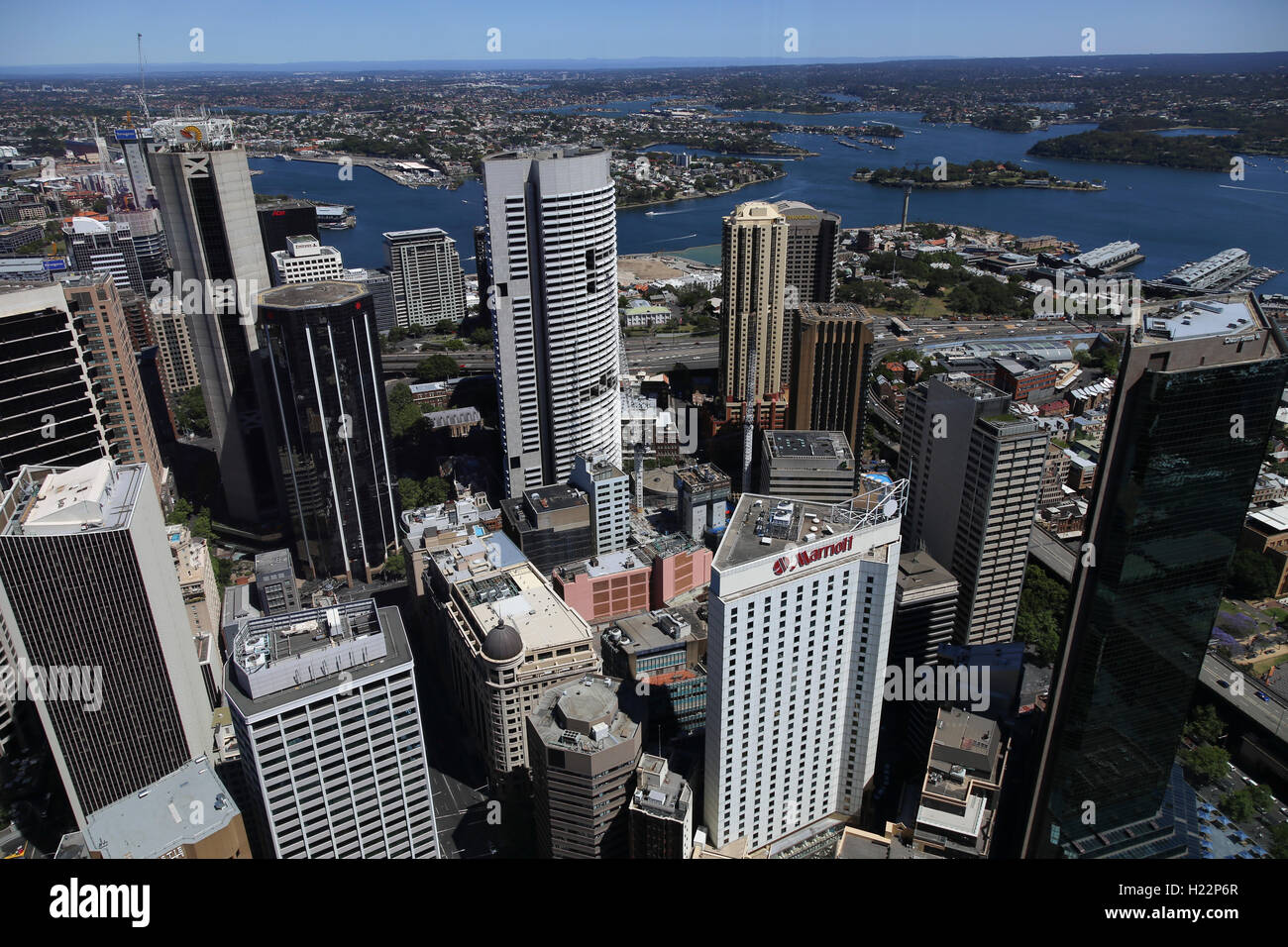 Vista del CBD di Sydney, Nuovo Galles del Sud Australia da un alto edificio di uffici. Foto Stock