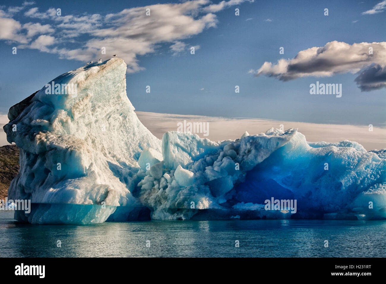 L'Europa, Groenlandia, Kujalleq comune, Narsarsuaq (significato: grande piano), Qoroq Fiordo di ghiaccio, iceberg Foto Stock